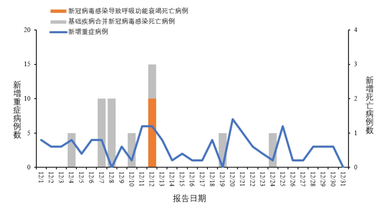 全球新冠病例最新动态，持续观察与应对策略综述