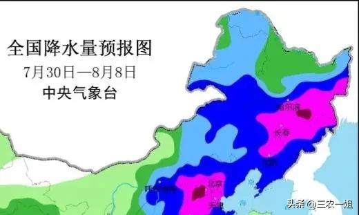 全国大暴雨来袭，各地紧急应对措施启动